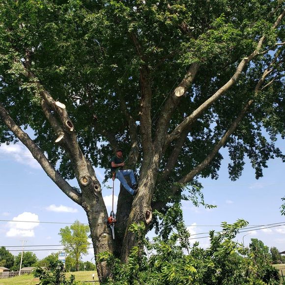 Meet your Posher, Josh - Picture 1 of 1